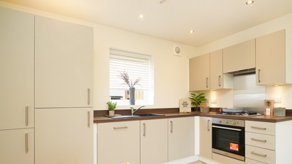 Dominion Showapt 9.1