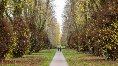 Quarterjackpark Wimborne Local2